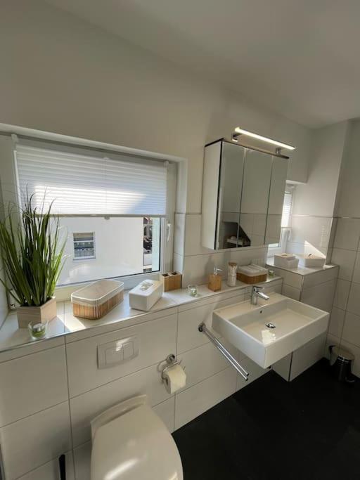Komfortable Ferienwohnung In Halle-Kroellwitz Halle  Ngoại thất bức ảnh