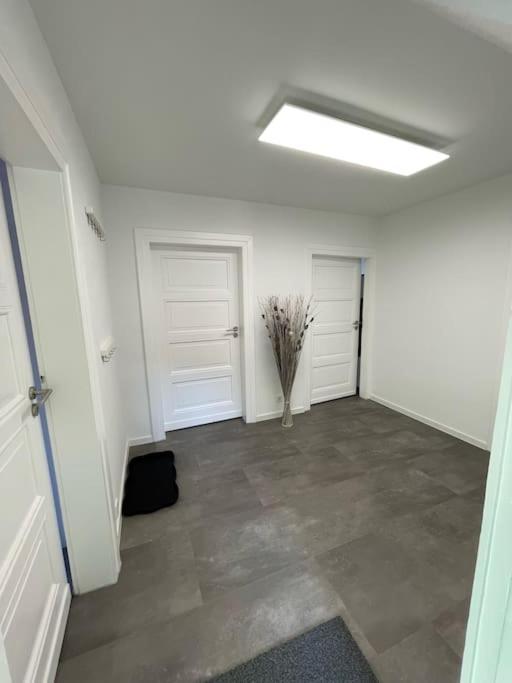Komfortable Ferienwohnung In Halle-Kroellwitz Halle  Ngoại thất bức ảnh