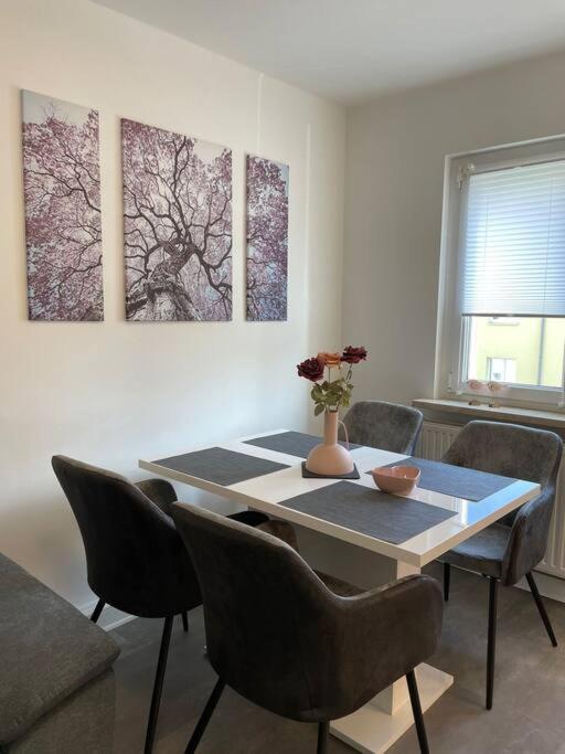 Komfortable Ferienwohnung In Halle-Kroellwitz Halle  Ngoại thất bức ảnh
